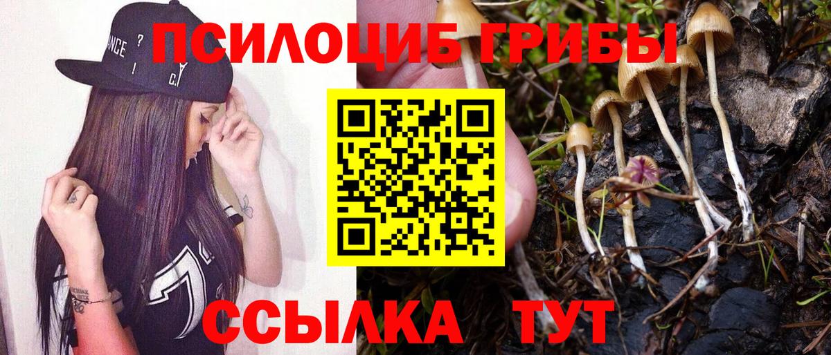 Псилоцибиновые грибы GOLDEN TEACHER  Вход с VPN  Зима 